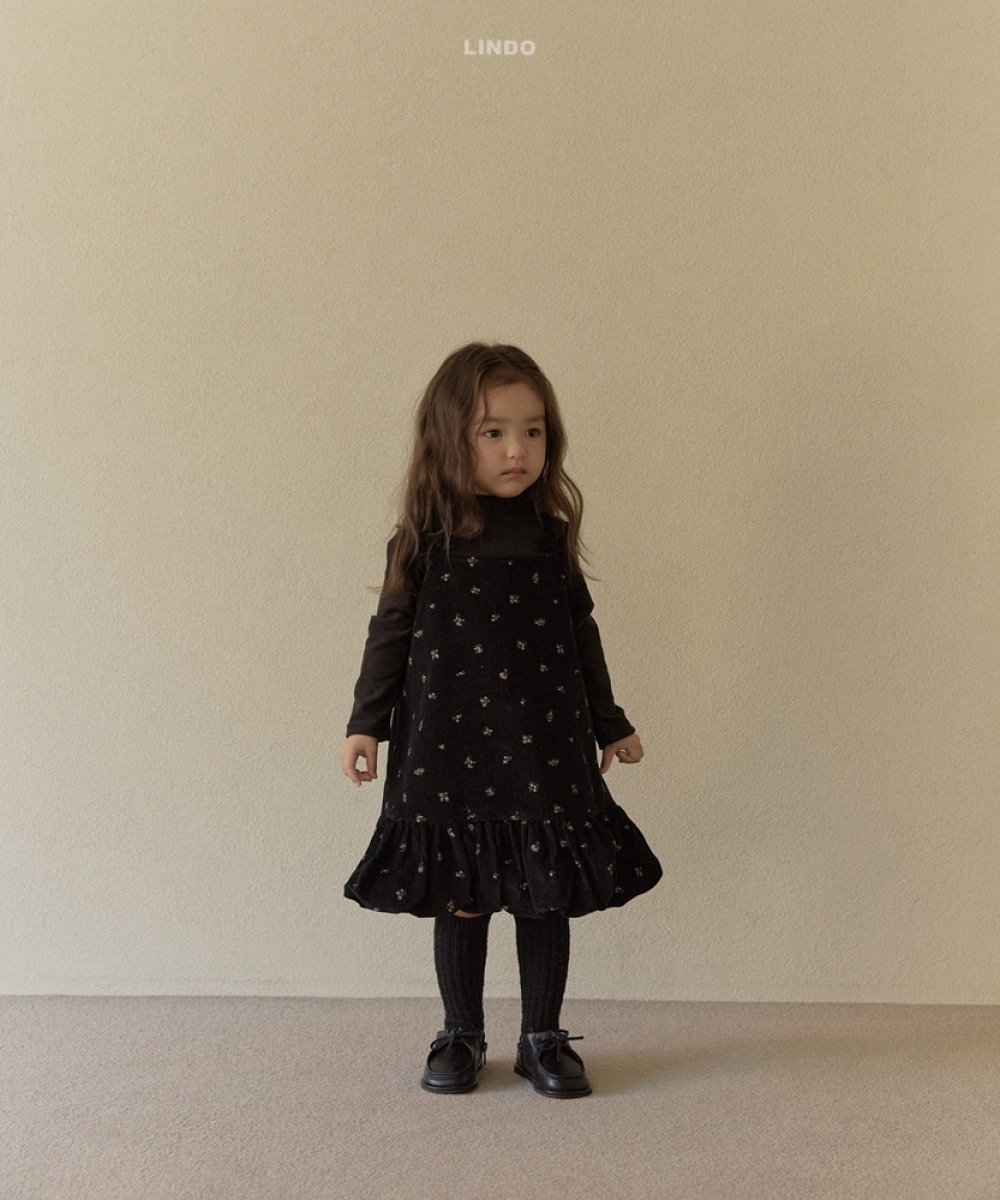 ImageDrain-20251129T022014.795Z