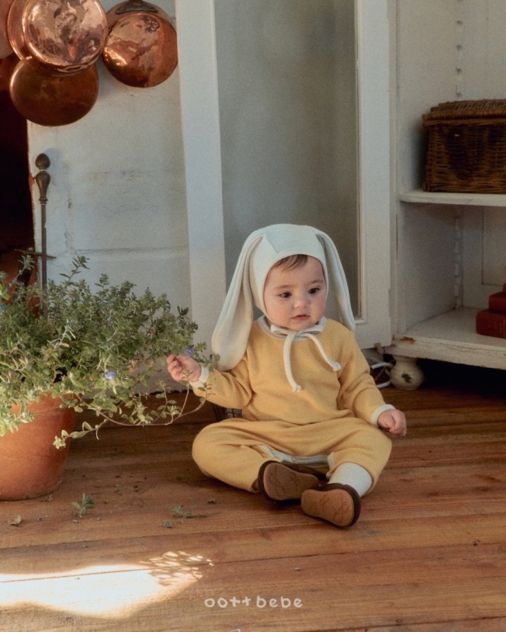 ImageDrain-20251209T173040.238Z