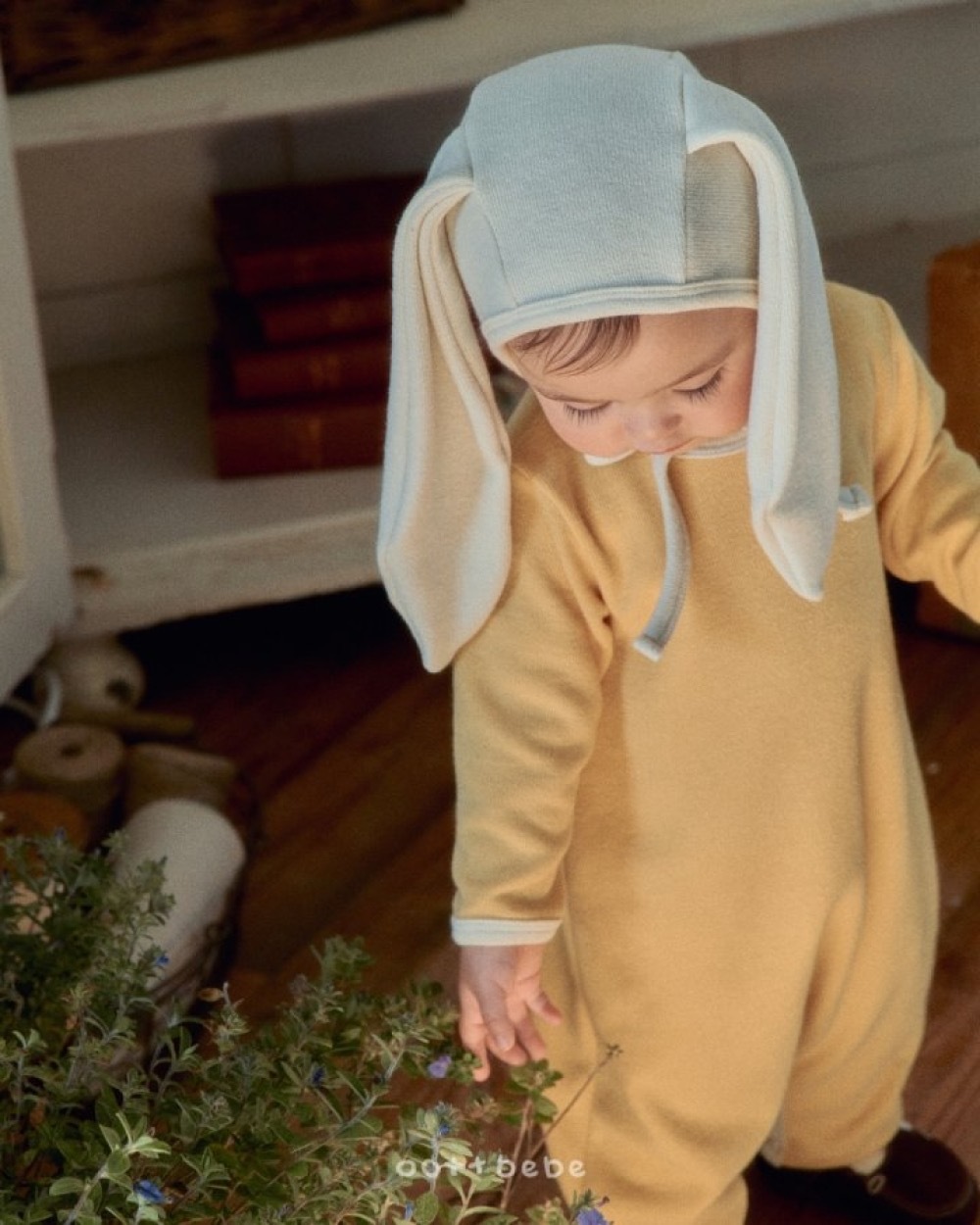 ImageDrain-20251209T173040.024Z