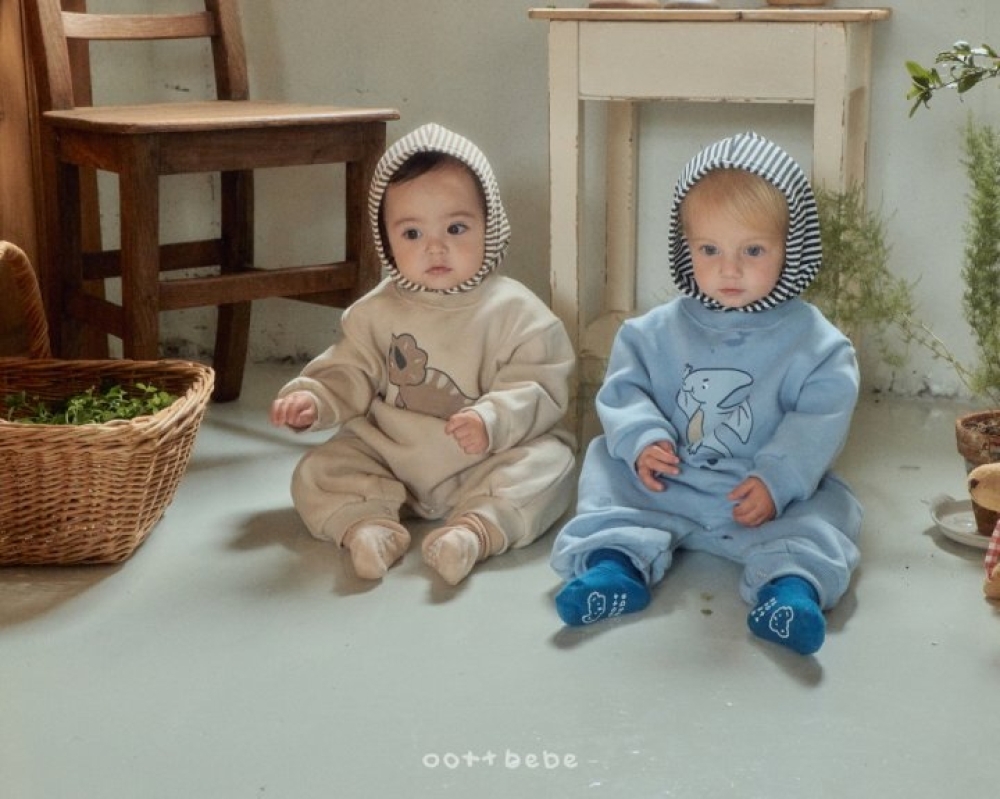 ImageDrain-20251210T044914.439Z