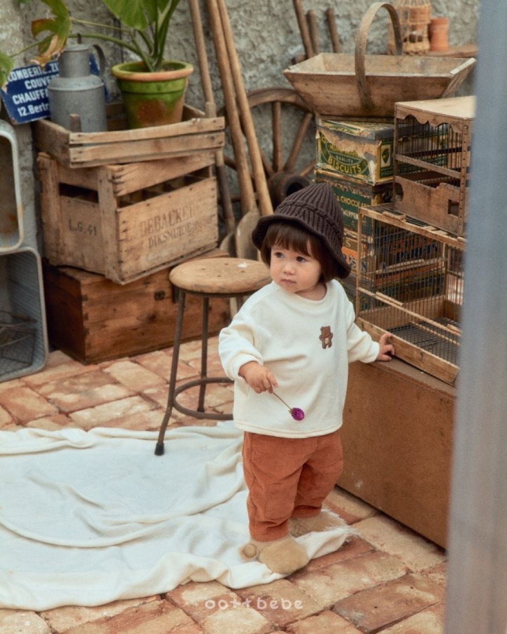 ImageDrain-20251210T071246.137Z