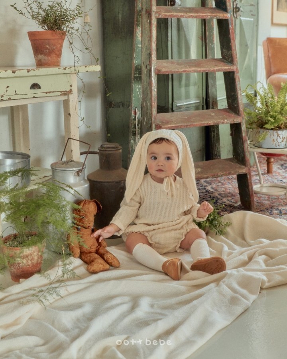 ImageDrain-20251210T072109.959Z