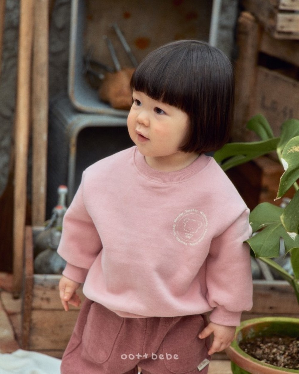 ImageDrain-20251210T130617.232Z