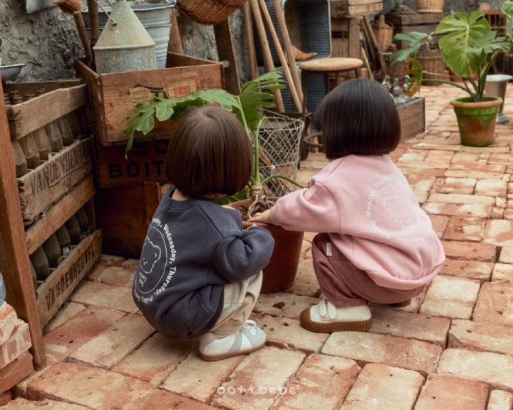 ImageDrain-20251210T130514.944Z