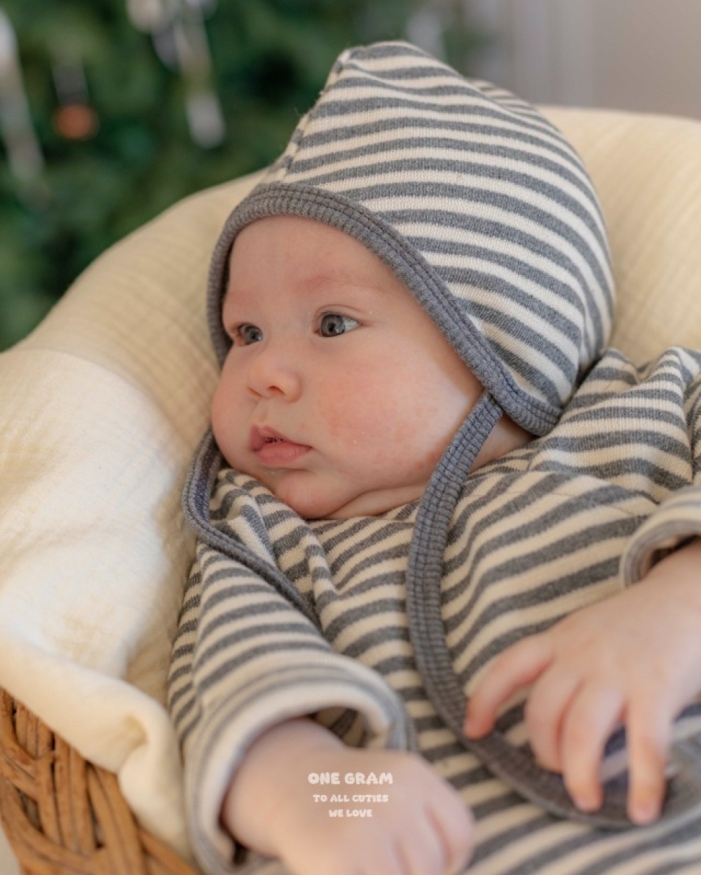 ImageDrain-20251216T045223.784Z