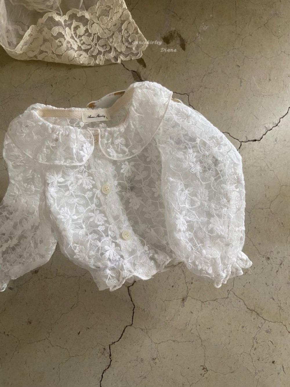 ImageDrain-20260109T042813.293Z