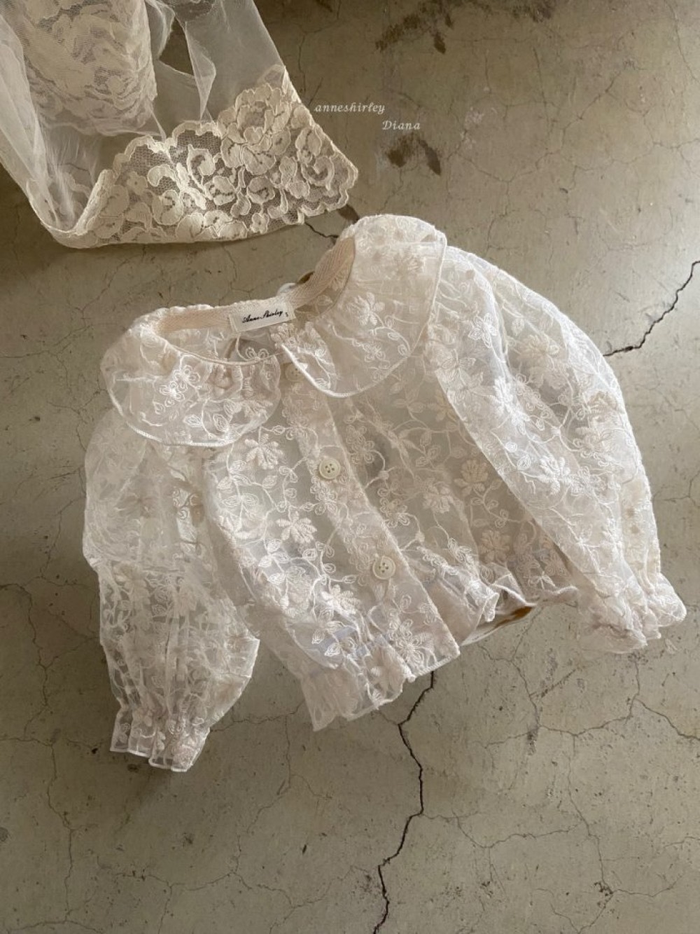 ImageDrain-20260109T042715.546Z