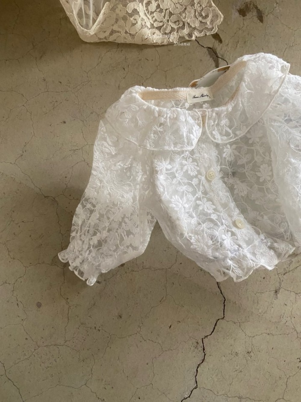 ImageDrain-20260109T042813.107Z