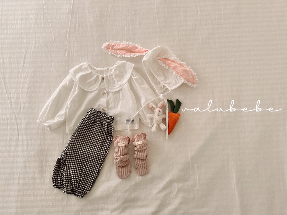 ImageDrain-20260112T060129.931Z