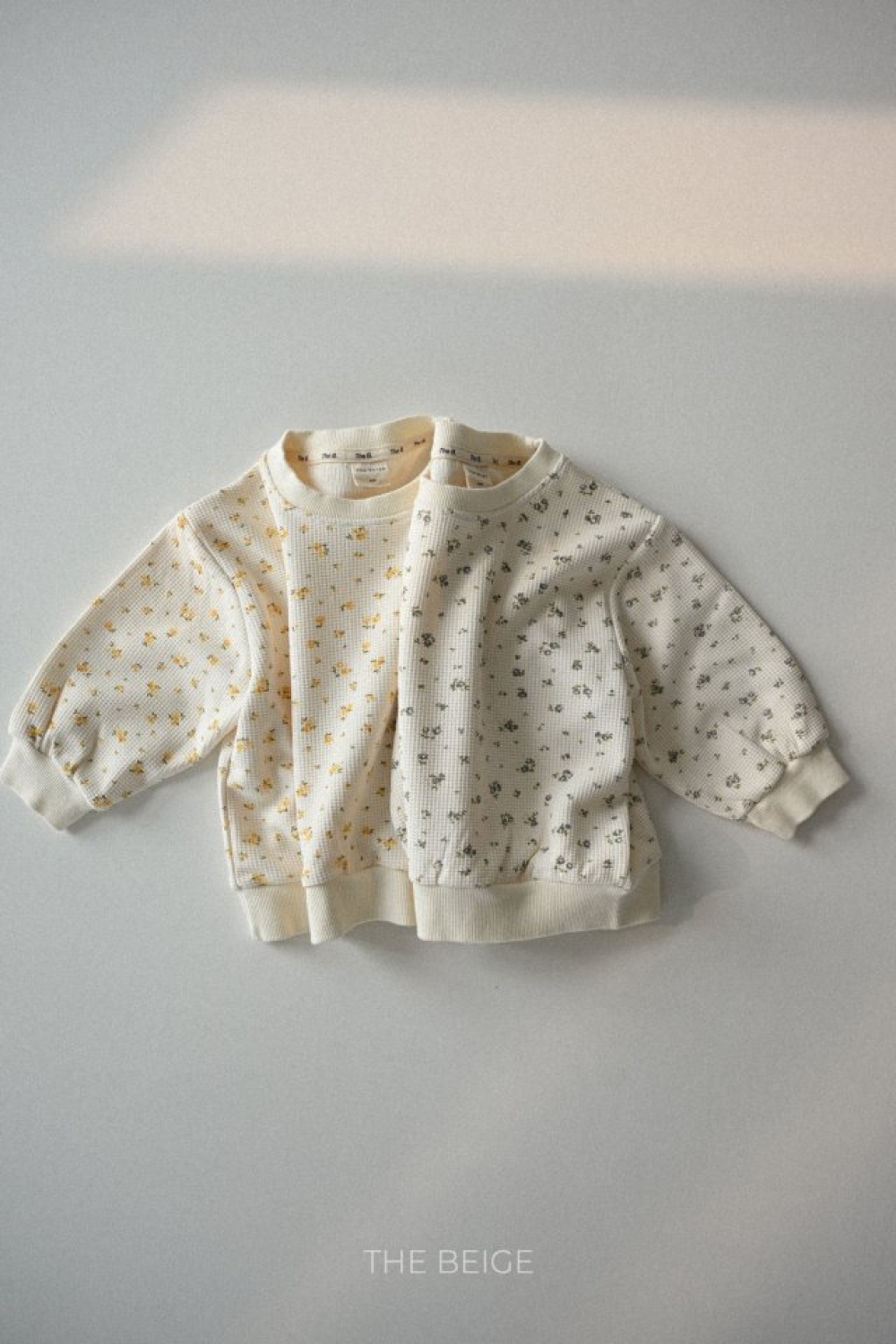 1768955186_5543700806