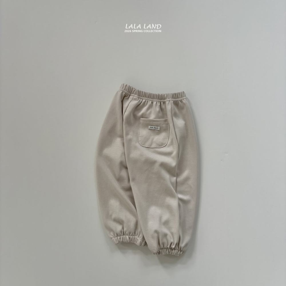 1769517090_4645738492