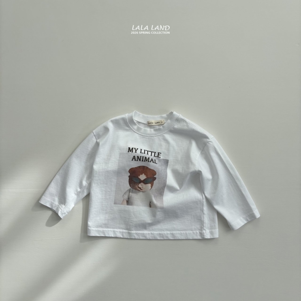 1769515942_4010360903