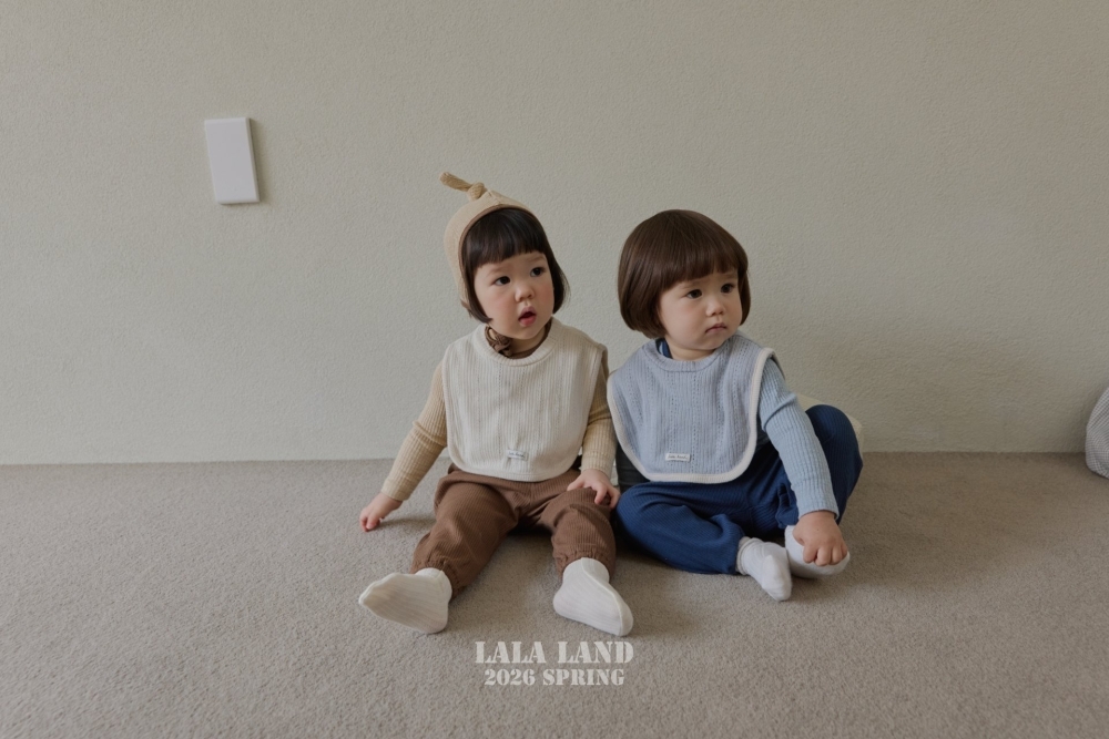 1769504020_2858852906