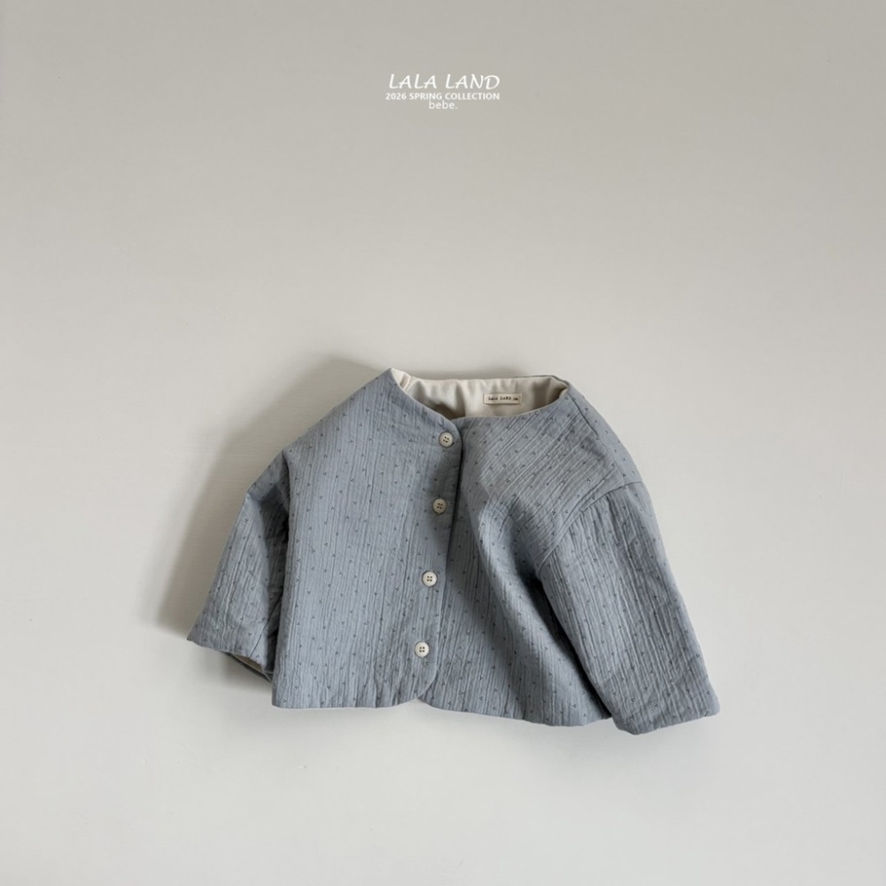 1769503786_3991040848