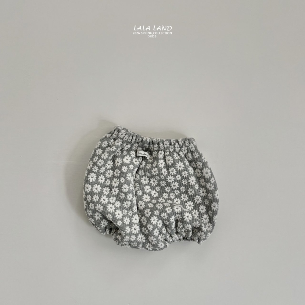 1769505565_8063091629