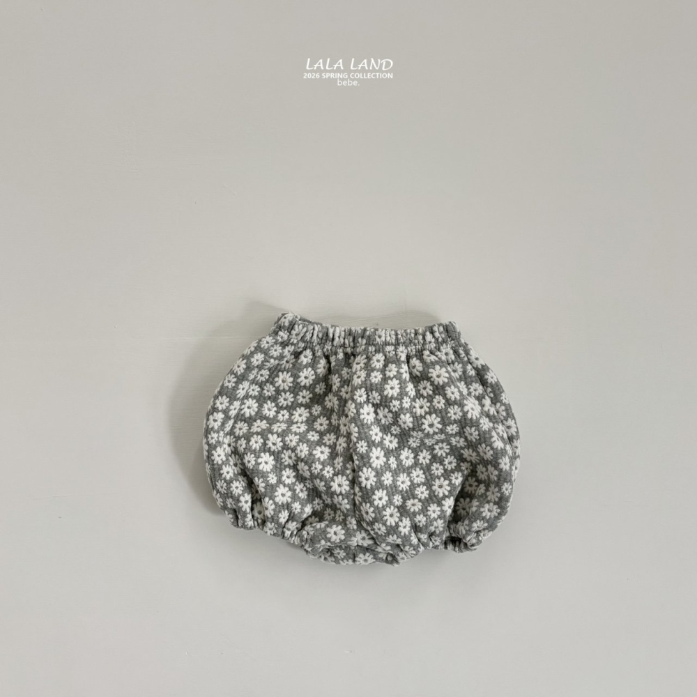 1769505565_8881917564