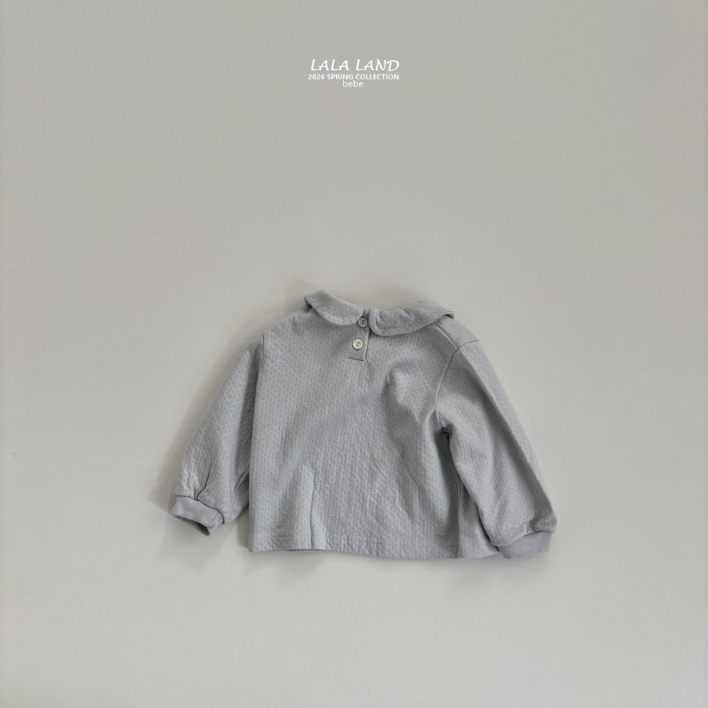 1769506076_1703951874