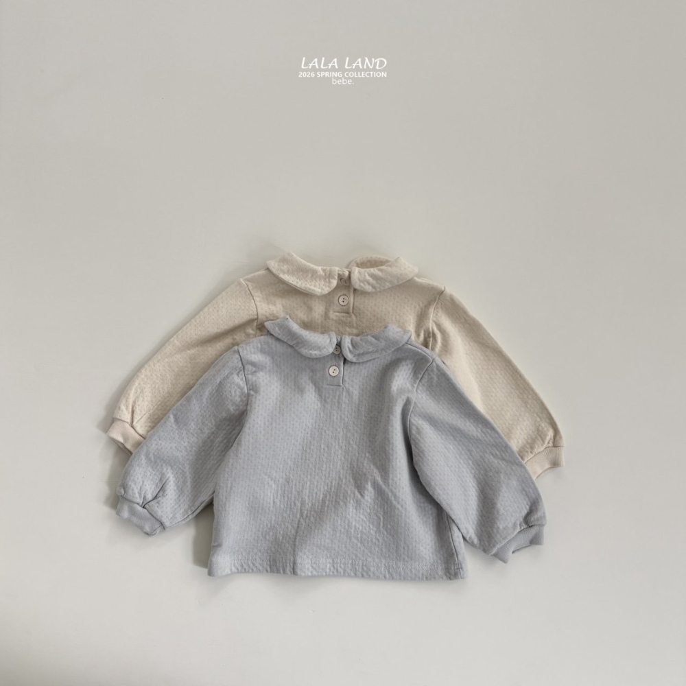 1769506077_2709099681