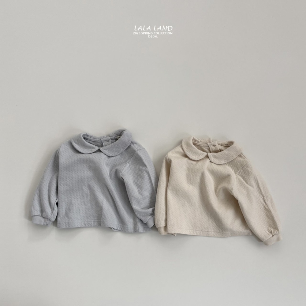 1769506077_7477081011