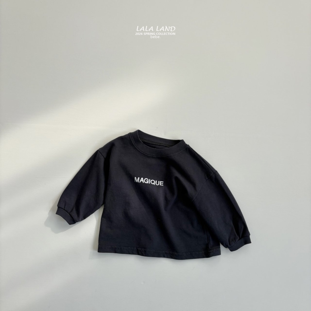 1769508667_8479178164