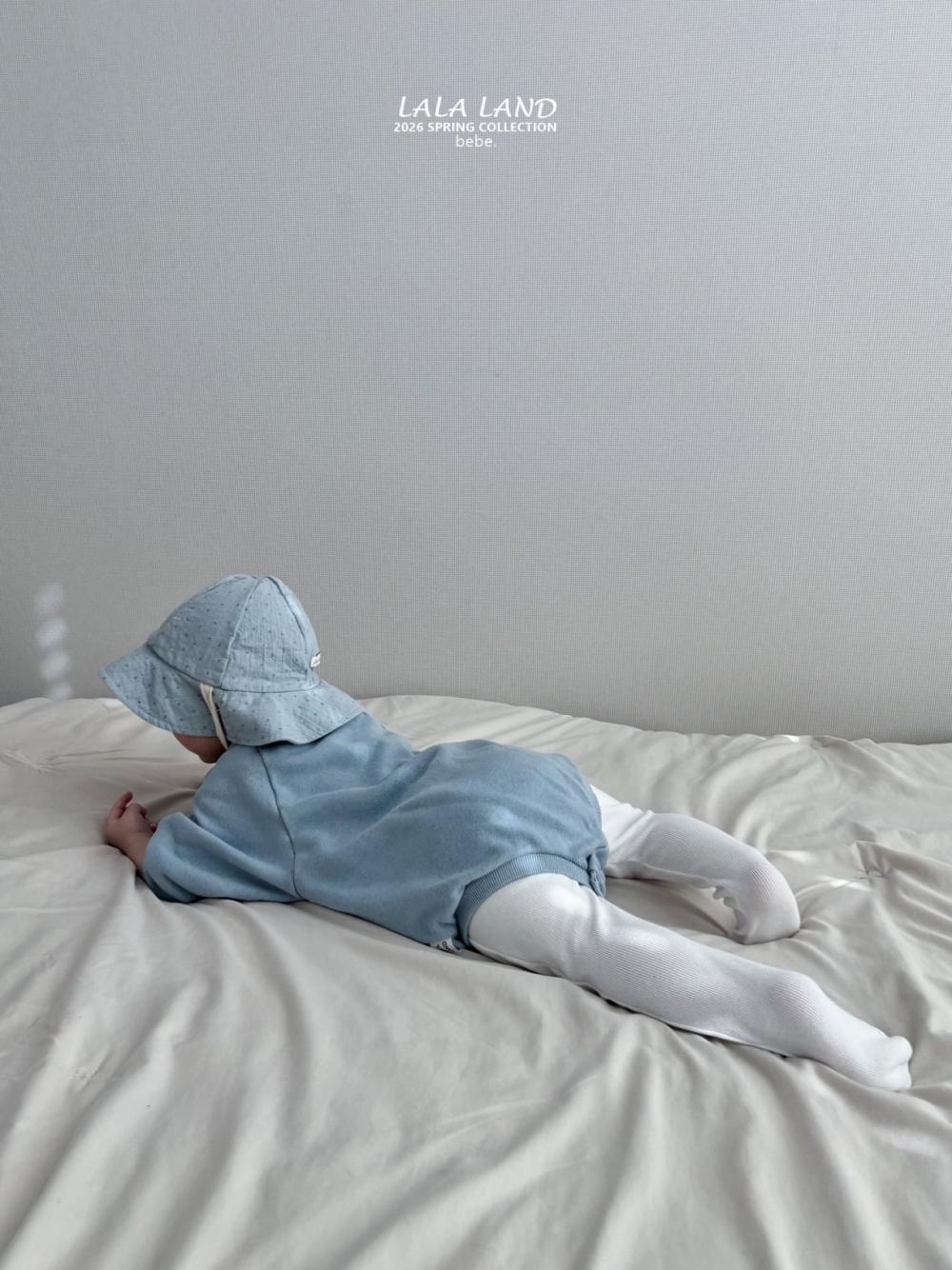 1769509735_1269941368