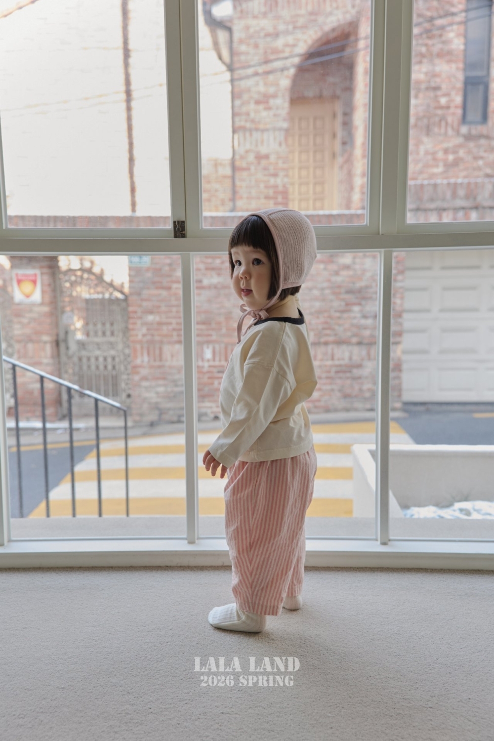 1769509055_3305476559