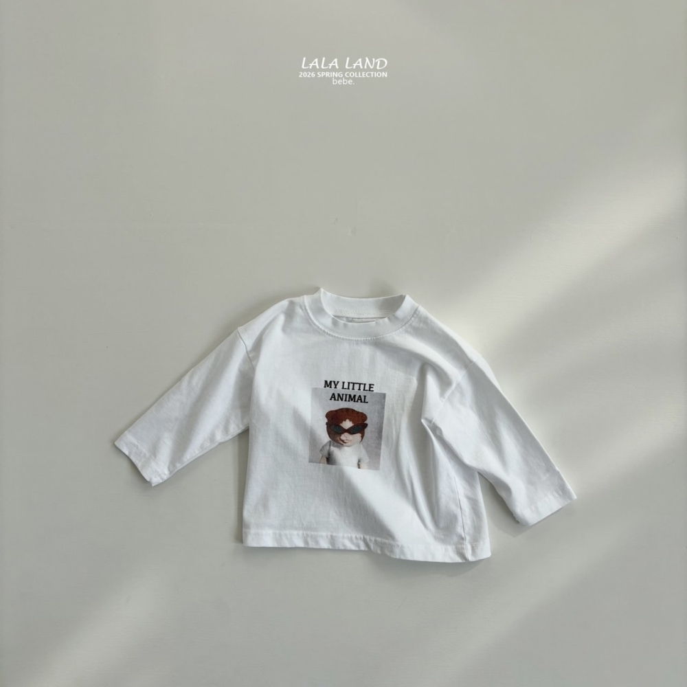 1769509024_3217528646