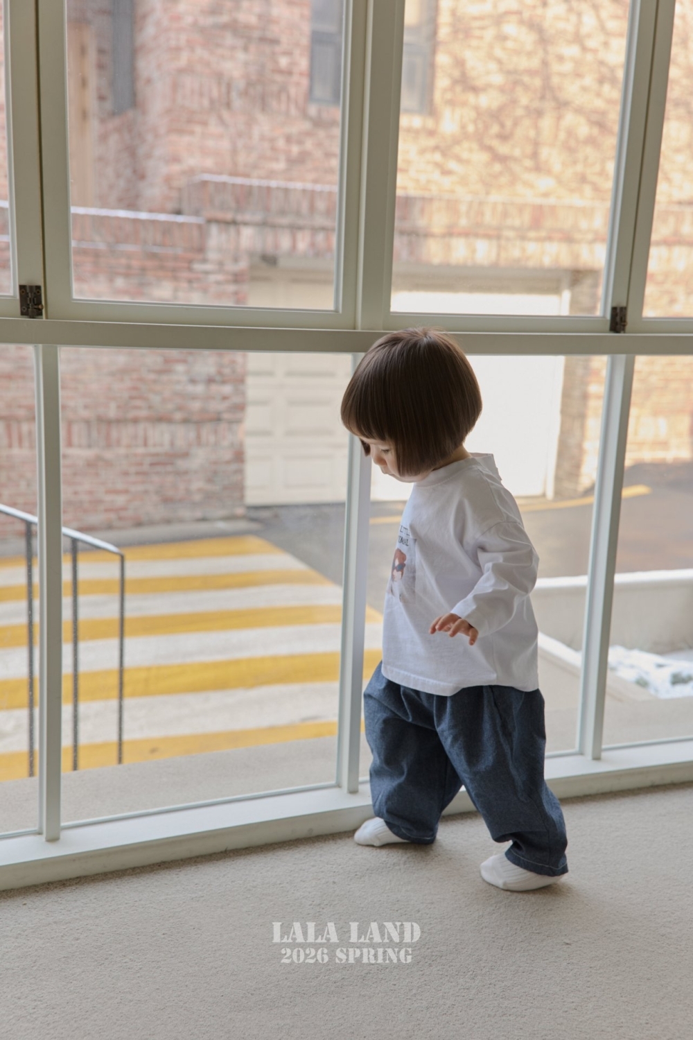 1769509022_6644985184