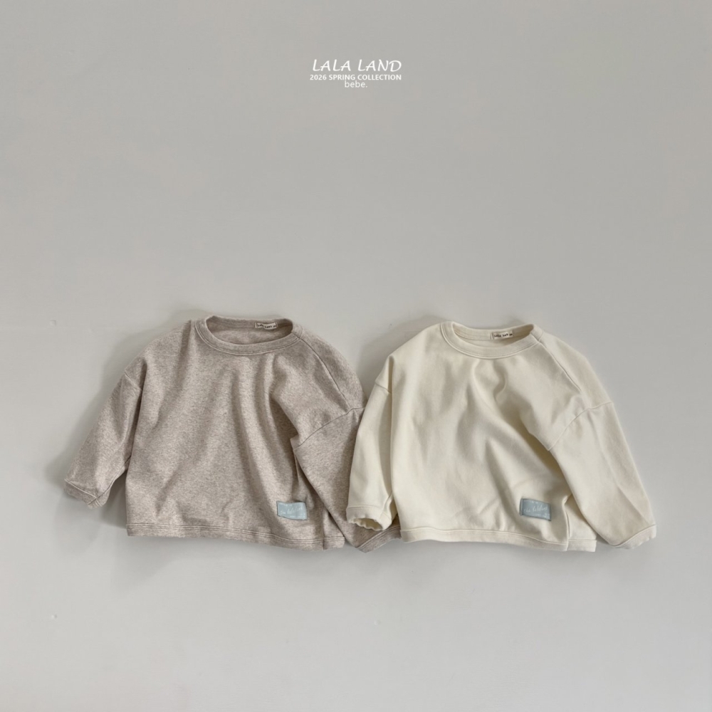 1769509289_1469763274