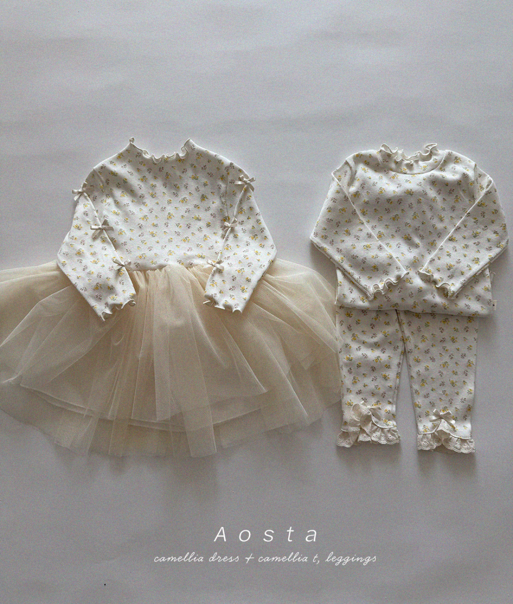 1768904447_8104643461