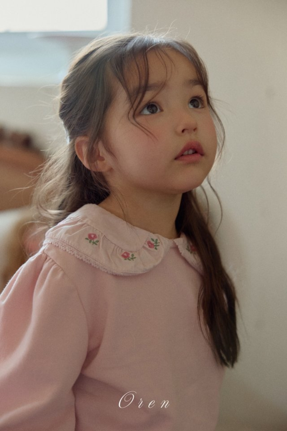 1769627629_3789693039