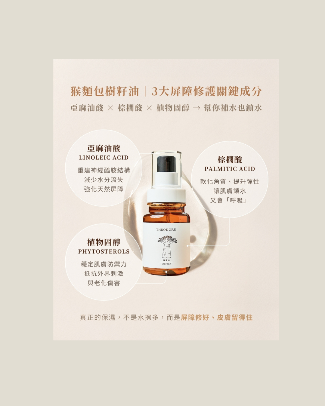 https://cdn.store-assets.com/s/1349982/f/15842767.png