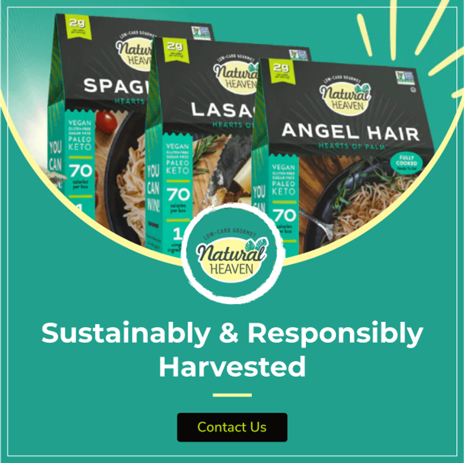 https://cdn.store-assets.com/s/1349991/f/13105946.png