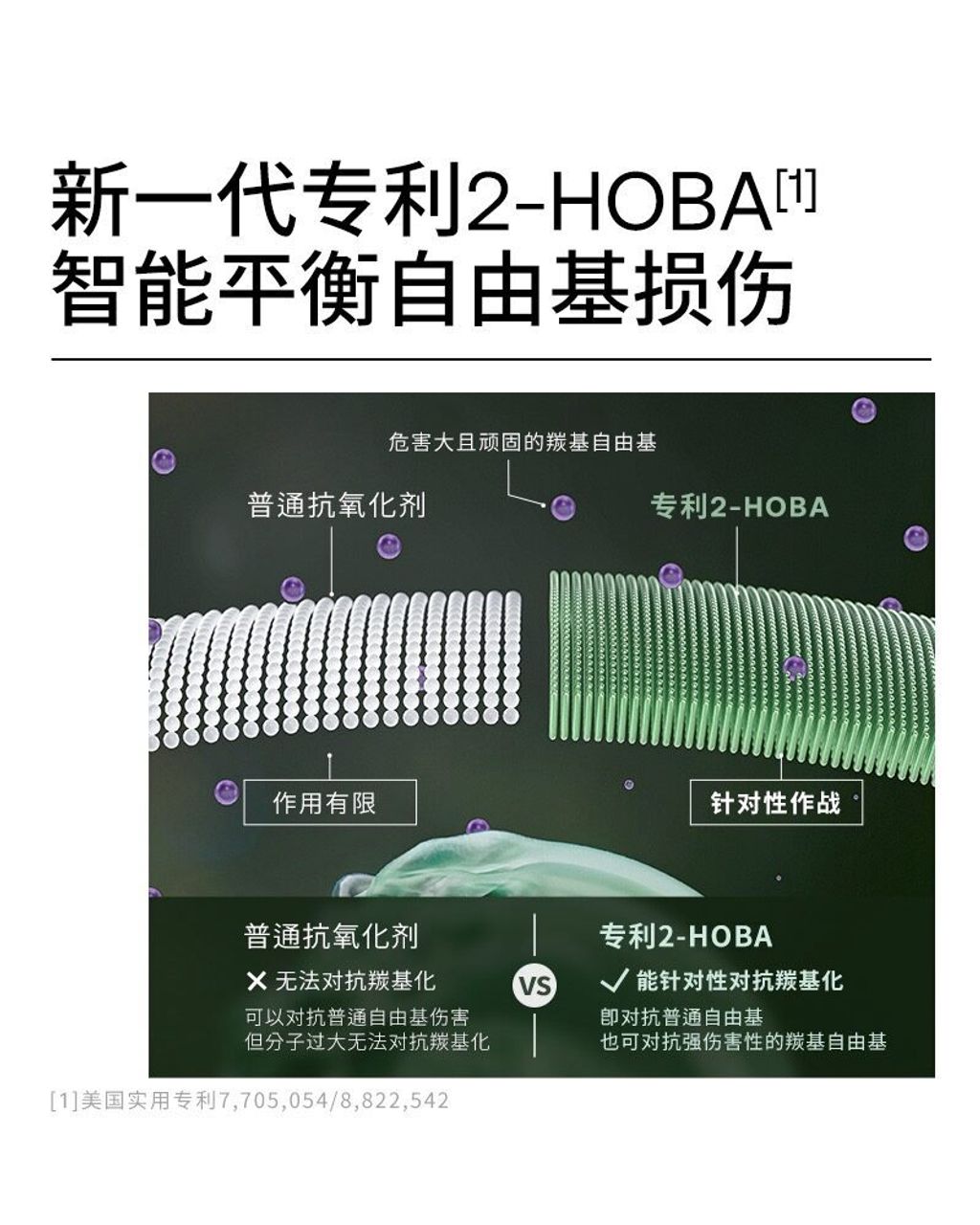 5642fd4458a0ff369eb77546a132e766