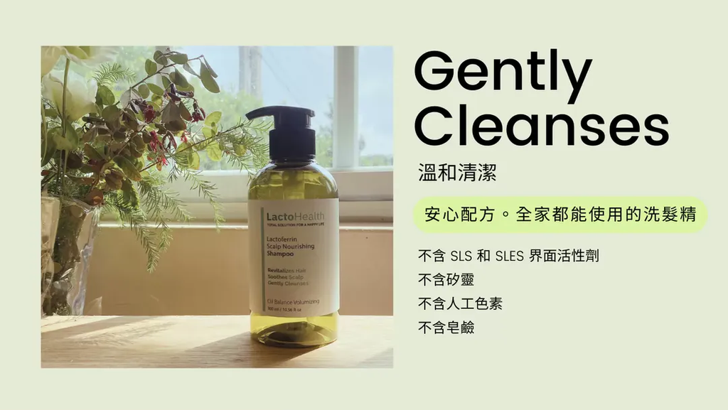 【寶晶】乳鐵蛋白頭皮養護洗髮精(300ml)5