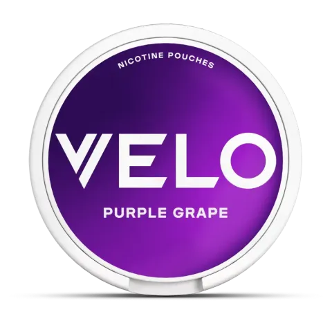 dv_2024_06_25_03_48_23_33261