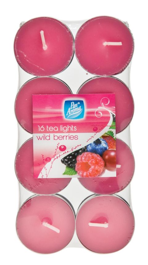 PAN0404