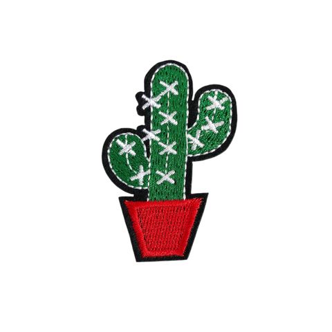 Cactus Plant