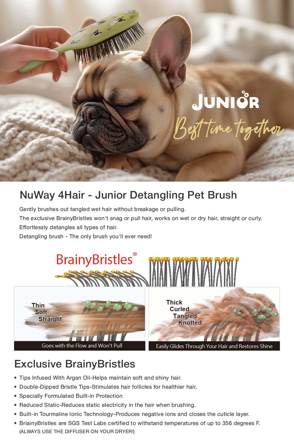 Junior pet content_工作區域 1 複本 copy 2
