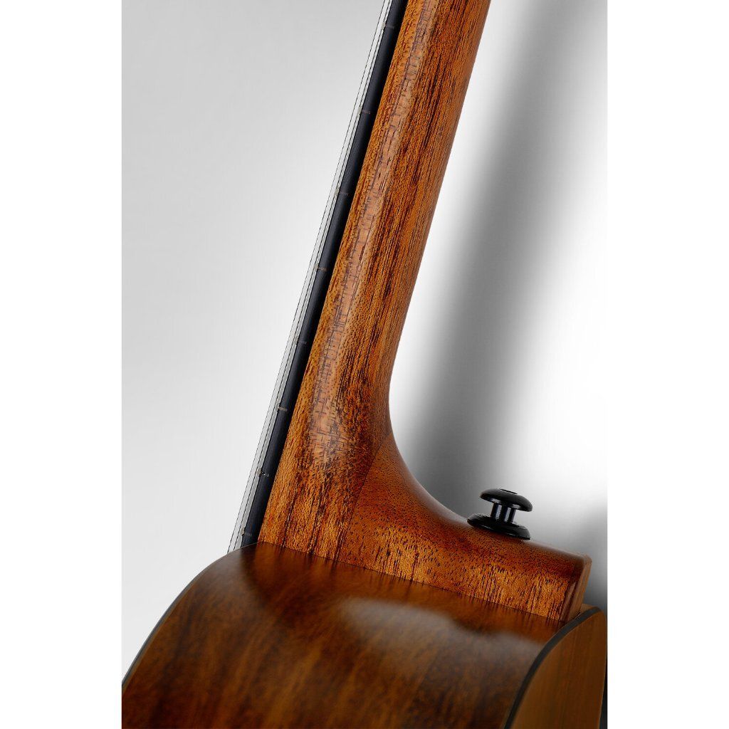 tw-11134207-7r98x-lyqhlqktbchgd6