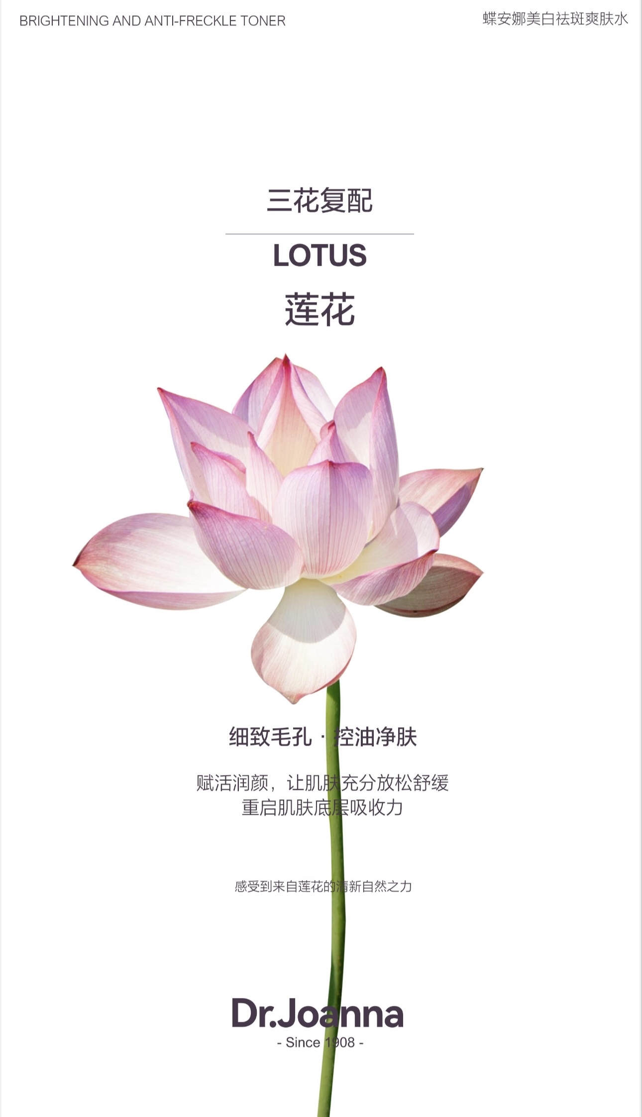 IMG_3900-1715845775682