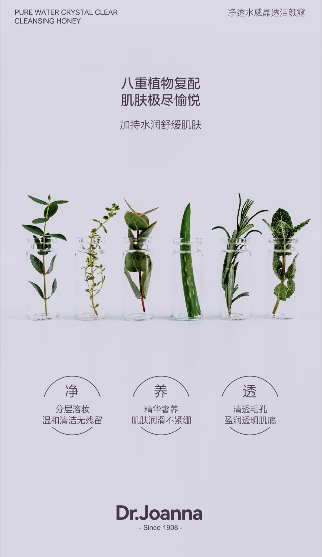 IMG_4008-1716005064825