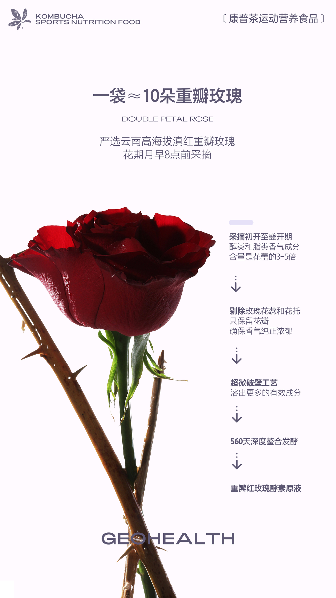 IMG_7743-1721012580964