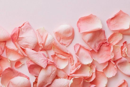 ROSY BLOOM | GentBeaut Enterprise