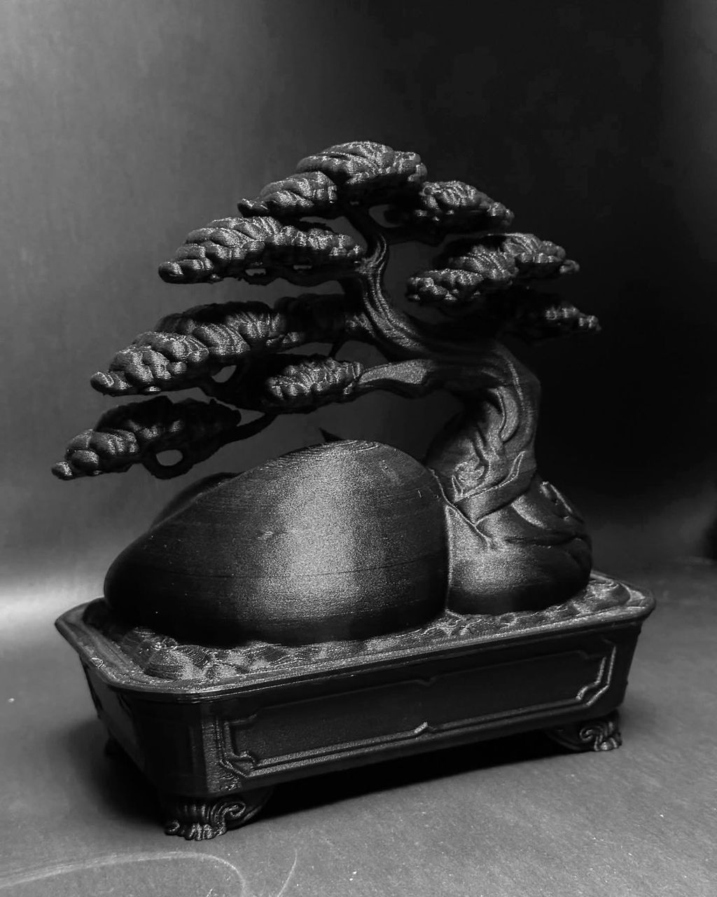 S__177299468_0