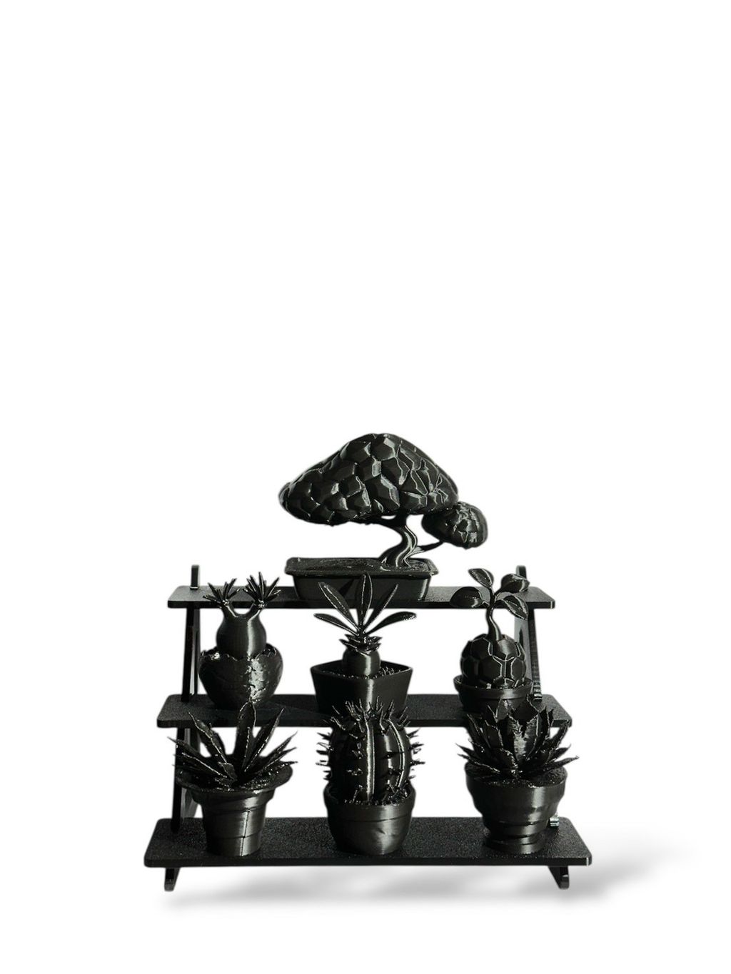 S__163676164_0