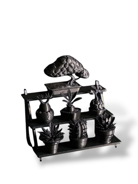 B168現貨] 朽根造黑植系列靜物群像– B168 Collection