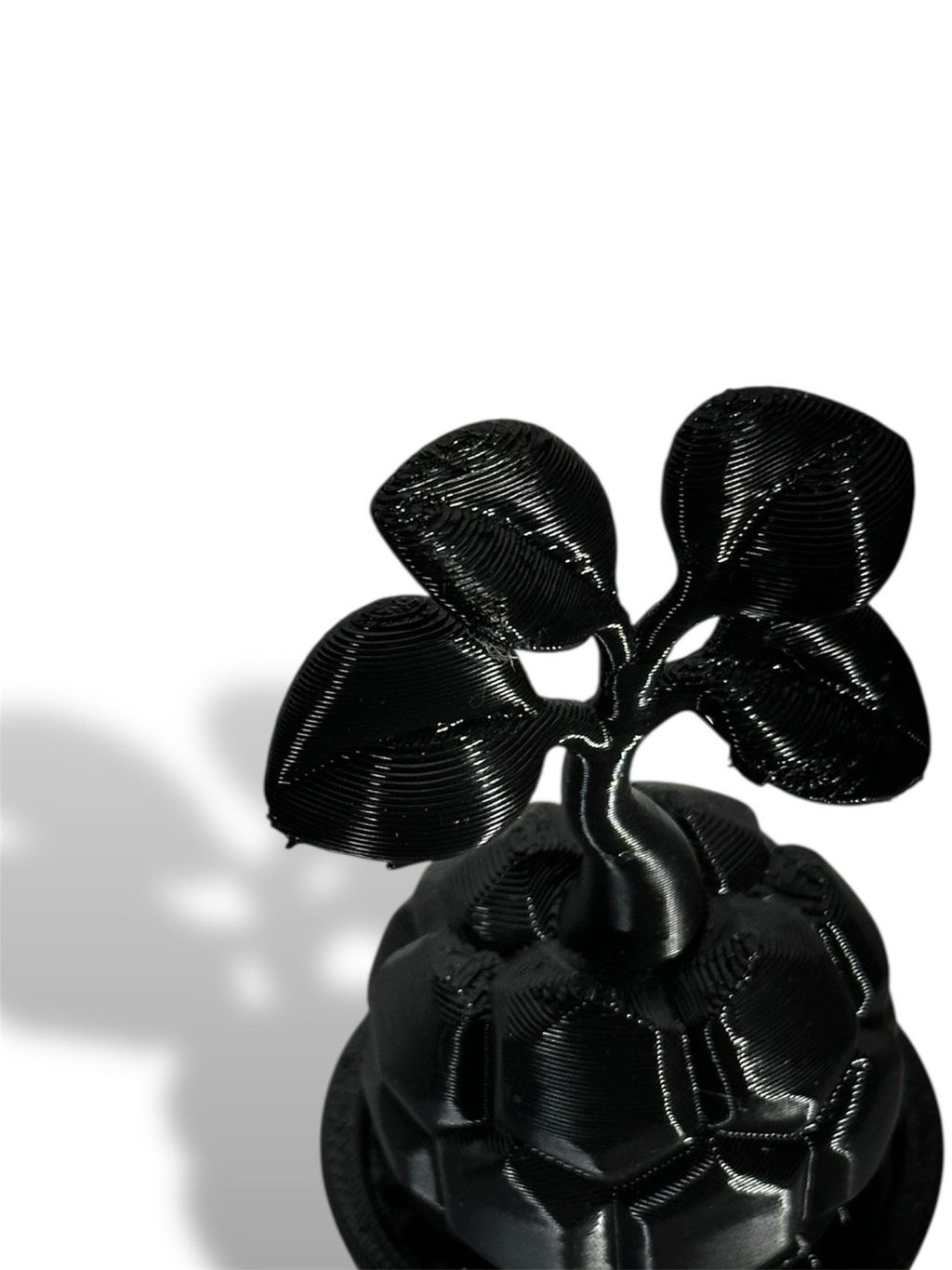 S__163733582_0
