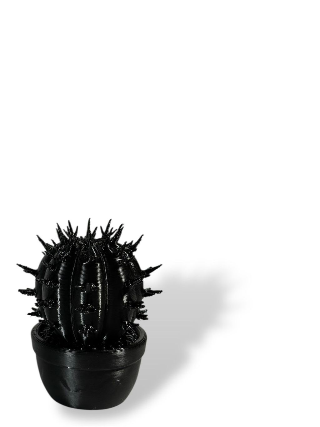 S__163733584_0