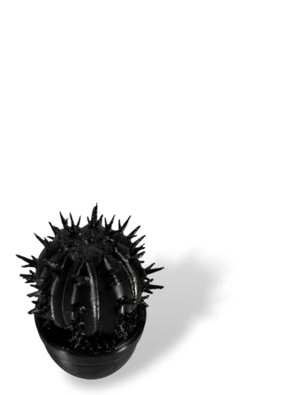 S__163733583_0